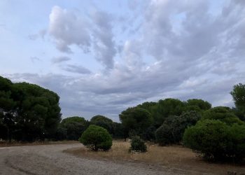 Ecologistas en Acción de Majadahonda denuncia el impacto ambiental de la prueba de marcha nórdica en el Monte del Pilar