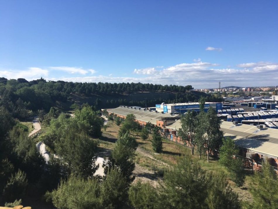 Denuncian el abandono de las plantaciones en el Parque Forestal de Entrevías en Madrid