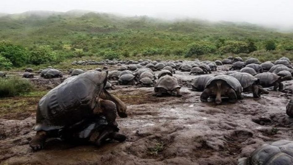 Firman acuerdo en Ecuador para proteger a las islas Galápagos