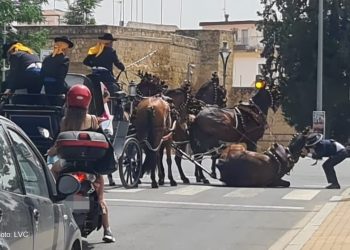 Más de un centenar de caballos muertos en ferias y romerías en la última década llevan a PACMA a demandar que se prohíba su uso por Ley