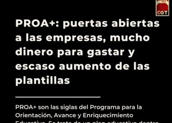 PROA+: puertas abiertas a las empresas, mucho dinero para gastar y escaso aumento de las plantillas