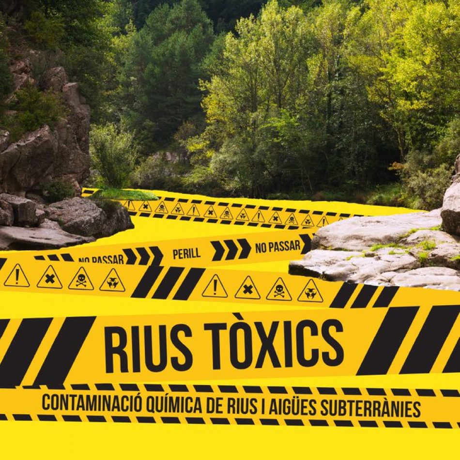 Els rius catalans estan profundament contaminats amb plaguicides i altres tòxics