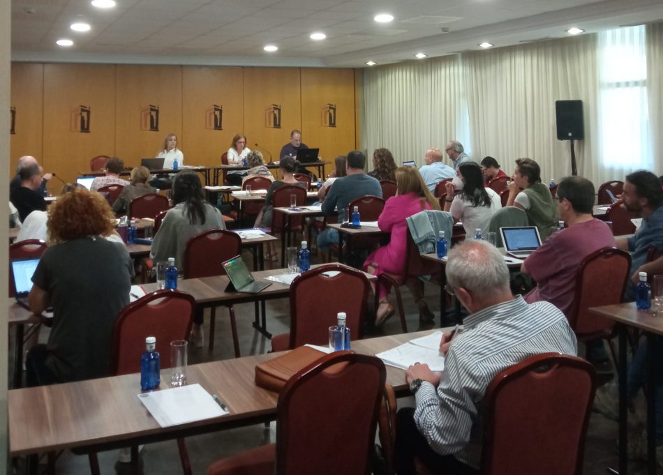 La Confederación STEs ha presentado quejas ante la UE y el e Defensor del Pueblo denunciando los procesos de estabilización