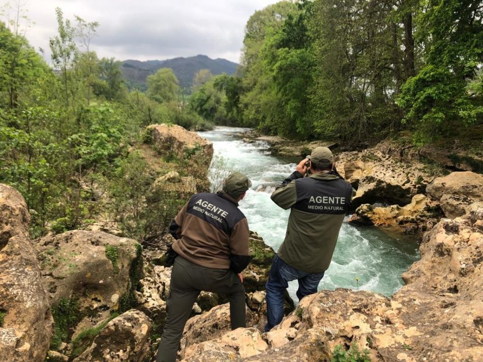 El Principado de Asturias lleva un año sin tramitar las denuncias ambientales efectuadas por los guardas de medio rural