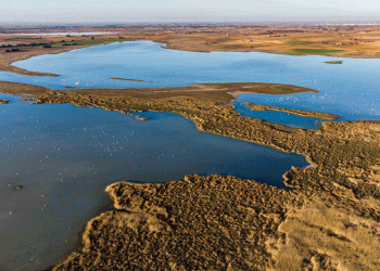 La Fundación Global Nature exige cambios al Gobierno para que la estrategia de la PAC cumpla con los retos ambientales y climáticos