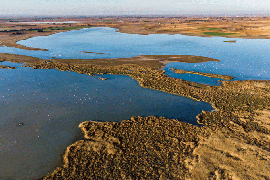 La Fundación Global Nature exige cambios al Gobierno para que la estrategia de la PAC cumpla con los retos ambientales y climáticos