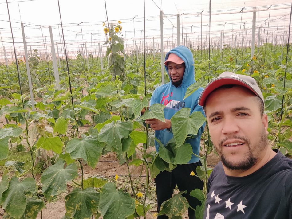 Agreden a un trabajador del campo por querer cobrar la nómina completa