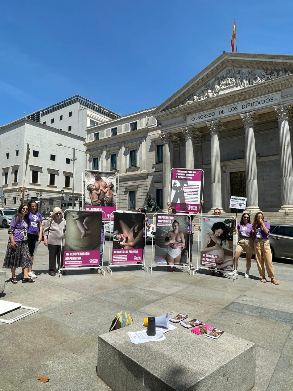 La Asociación PETRA Maternidades Feministas ha reclamado un permiso preparto y otro puerperal frente al Congreso