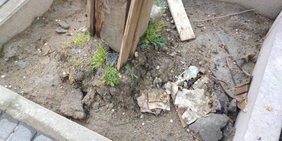 Ecologistas en Acción: «Las obras en el viario público de Madrid están causando graves daños al arbolado urbano»