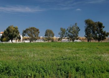 Les alcaldies tornen a jugar a l’especulació al Parc Agrari
