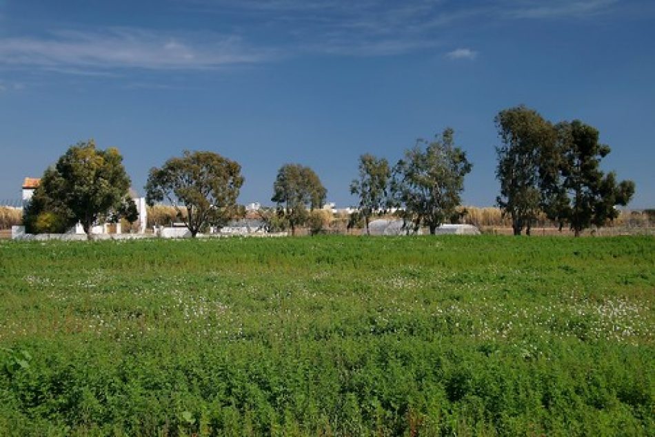 Les alcaldies tornen a jugar a l’especulació al Parc Agrari