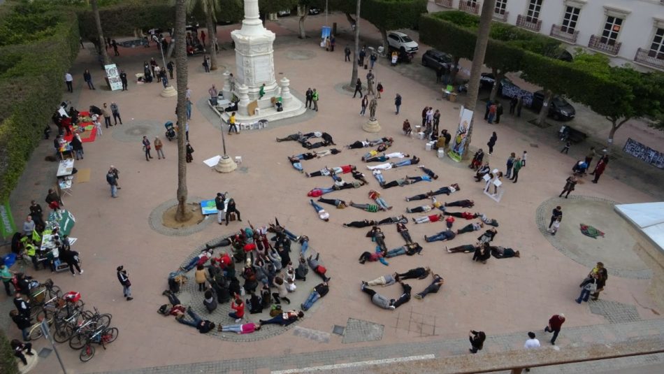 Reconocen el valor histórico y ambiental de la sentencia del Alto Tribunal Andaluz respecto a la permanencia de los ficus de la Pl. Vieja de Almería