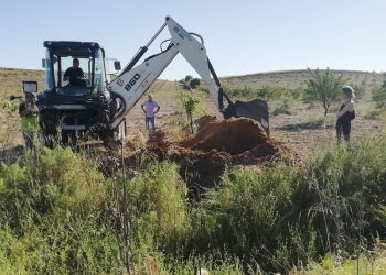Vuelven a buscar los cuerpos de cinco republicanos asesinados en Los Cerralbos (Toledo)