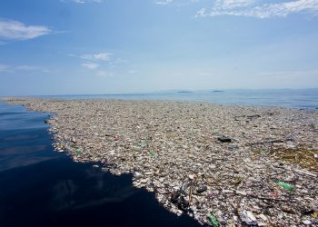 La campaña «Limpiemos el mar» recoge 640 kilos de basura, principalmente de origen plástico