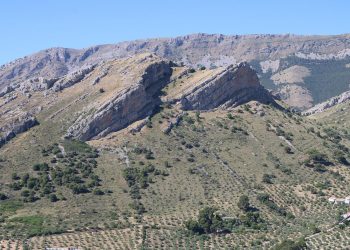 Verdes Equo Andalucía apoya al monte andaluz para afrontar la emergencia climática y los retos de la población rural