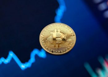 Traders de criptomonedas: a qué se dedican y cómo operan