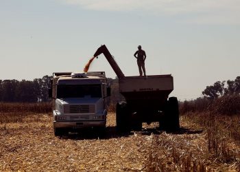«Si toda la producción pasara a ser agroecológica, nos sobrarían alimentos»