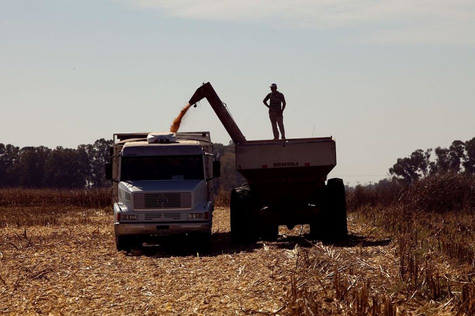 «Si toda la producción pasara a ser agroecológica, nos sobrarían alimentos»