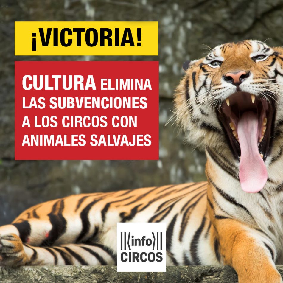 El Ministerio de Cultura elimina las subvenciones a los circos con animales salvajes