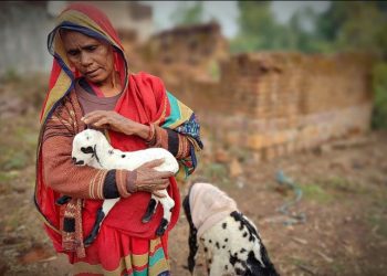 Los más de 60°C alcanzados en India ponen en riesgo cultivos y la vida de millones de personas