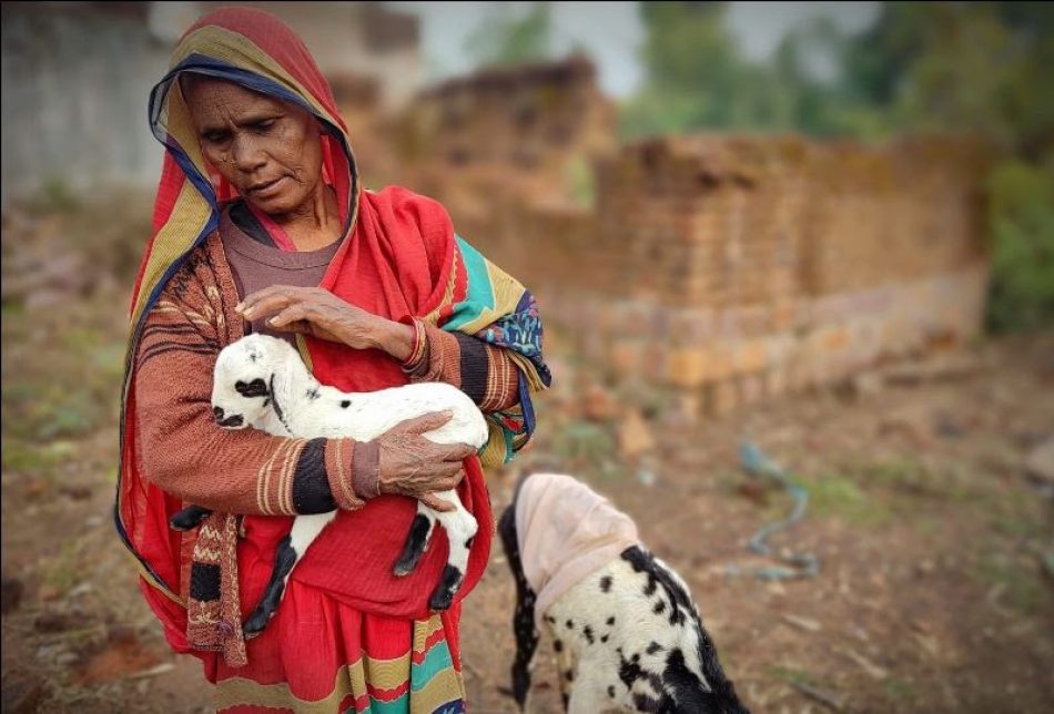 Los más de 60°C alcanzados en India ponen en riesgo cultivos y la vida de millones de personas