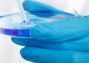 FSC-CCOO anuncia movilizaciones para exigir una Ley de la Ciencia que garantice los derechos del personal de investigación