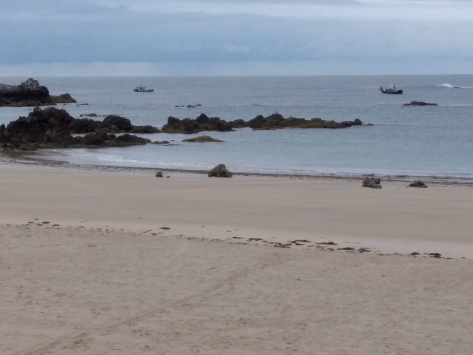 El Gobierno de Asturias sigue empeñado en acabar con las algas marinas favoreciendo el arranque del ocle