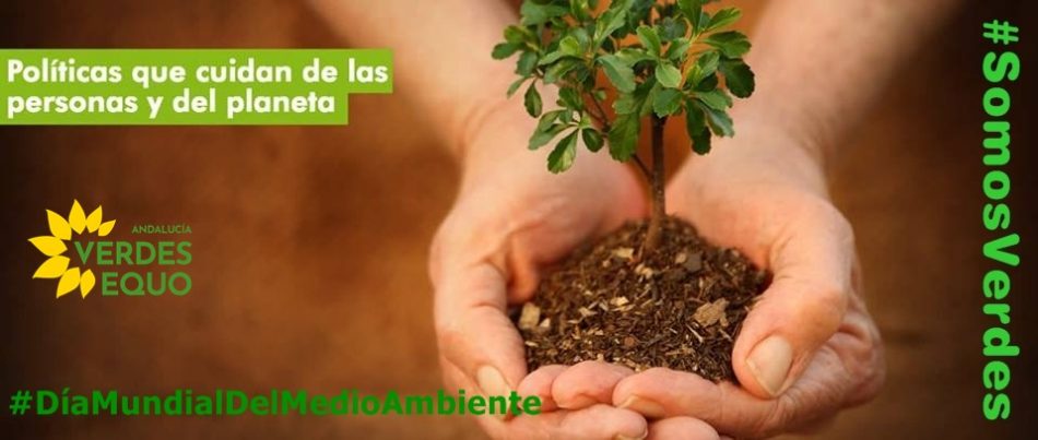 Verdes EQUO pide a la ciudadanía que exija medidas y no promesas en el Día Mundial del Medio Ambiente