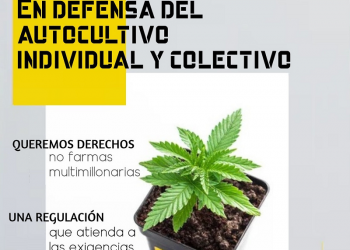 La sociedad civil reclama una ley del cannabis medicinal moderna