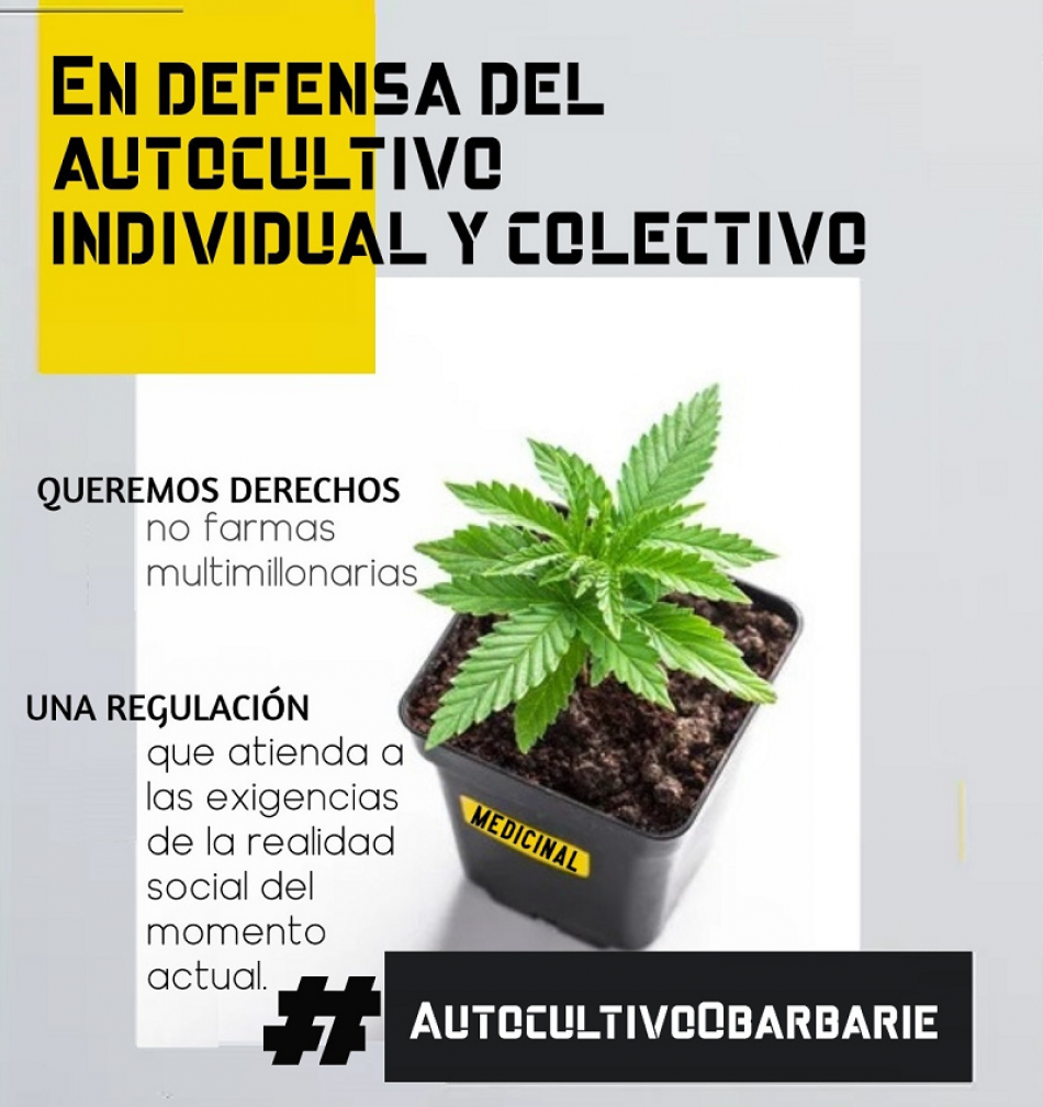 La sociedad civil reclama una ley del cannabis medicinal moderna