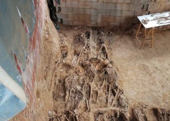 Hallados en la fosa de Pico Reja integrantes de la Columna Minera de Huelva, que quisieron enfrentar al golpista Queipo de Llano