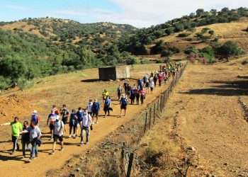 Asedeca reclama a las fuerzas políticas una hoja de ruta para recuperar las vías pecuarias que articulan Andalucía