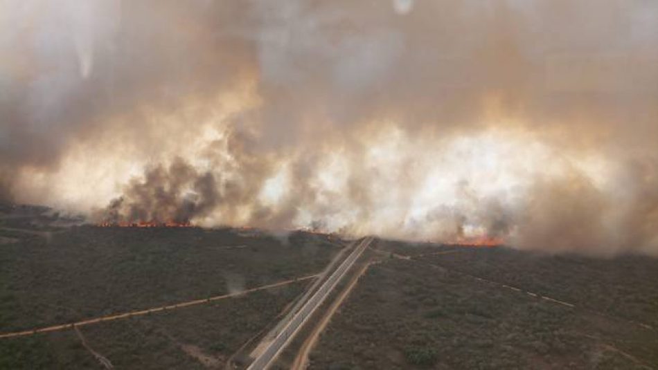 La geografía profesional solicita un cambio de modelo para prevenir los incendios forestales