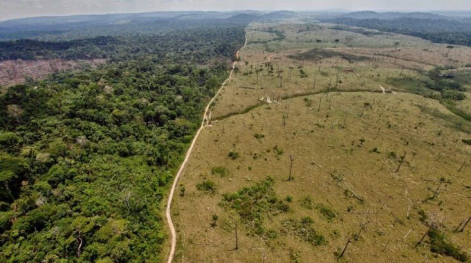 Alianza Verde critica la posición del Ministerio para la Transición Ecológica en materia de deforestación importada en la UE y reclama más ambición