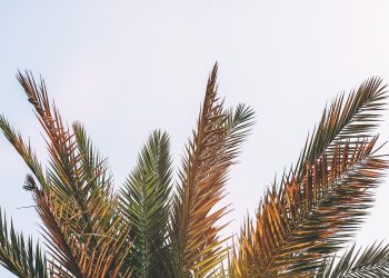 5 trucos infalibles para aprovechar las rebajas de verano