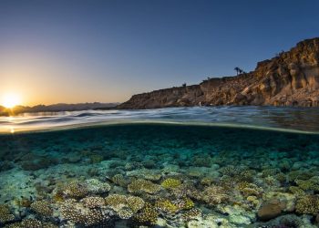Ecologistas en Acción reclama en Lisboa acción inmediata contra la degradación de los océanos