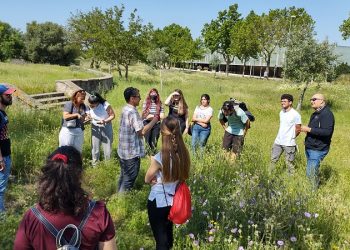 La comunidad universitaria andaluza combate la emergencia climática a través de propuestas de mejora