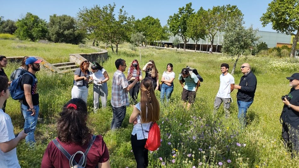 La comunidad universitaria andaluza combate la emergencia climática a través de propuestas de mejora