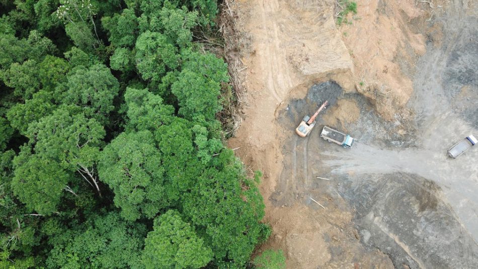 La comunidad científica presenta un manifiesto por una legislación ambiciosa que evite la deforestación importada