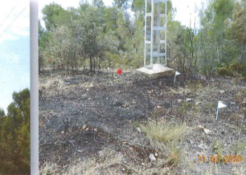 Nou possible delicte d’Endesa: incendis causats per l’electrocució d’aus en les seves línies elèctriques