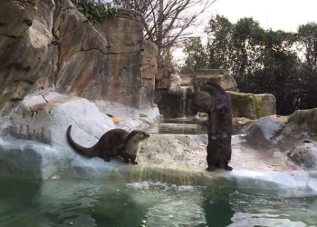 El mini zoo de Guadalajara