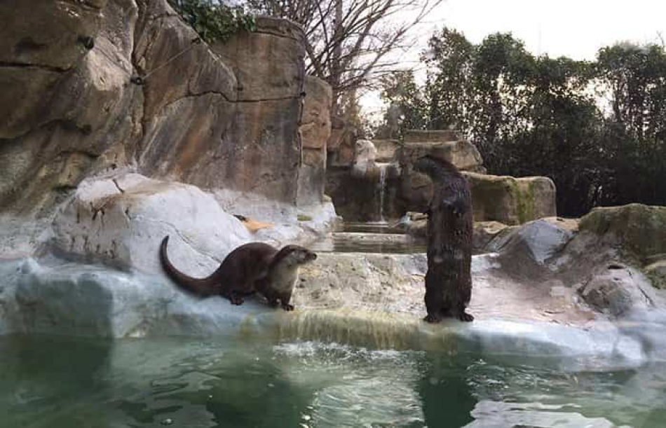 El mini zoo de Guadalajara