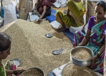 FAO advierte sobre impacto de precios de alimentos para países