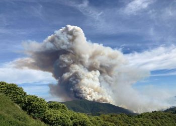 Teresa Rodríguez: “El PP ha practicado el negacionismo climático en la desprotección de la superficie forestal de Andalucía”