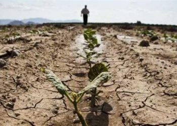 La agricultura en Italia enfrenta los estragos del cambio climático