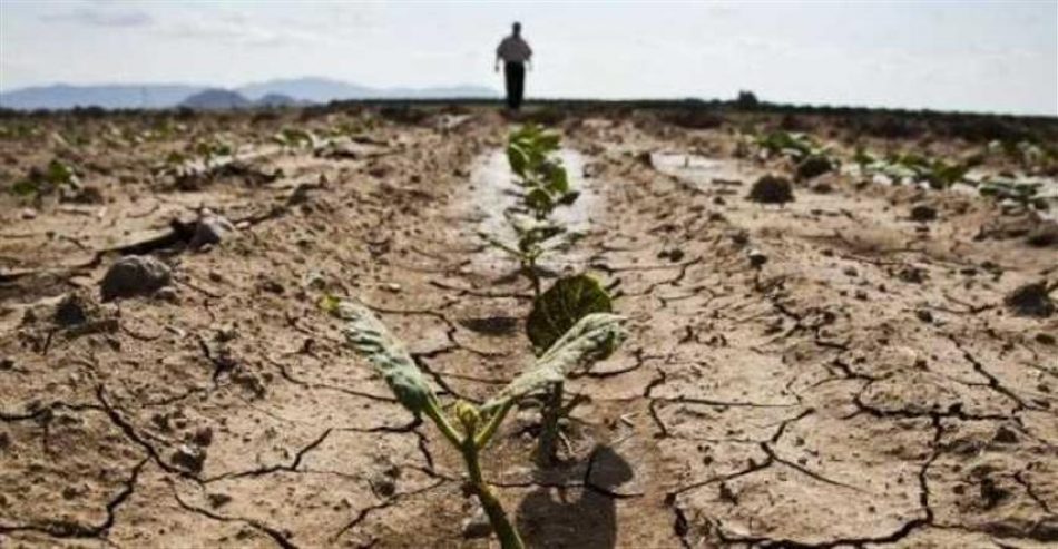 La agricultura en Italia enfrenta los estragos del cambio climático
