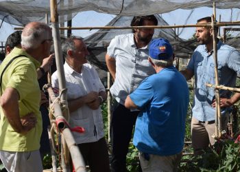 Por Andalucía apela al legado bioclimático de la Expo92 para combatir el calentamiento global en Andalucía