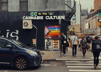 Nueva York huele a porro: cómo la legalización del cannabis ha cambiado el rostro de la gran manzana