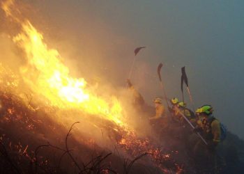 CCOO exige políticas destinadas a la profesionalización de los servicios forestales