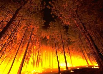 BNG reclama a declaración como zona catastrófica das áreas destruídas polos lumes na Galiza